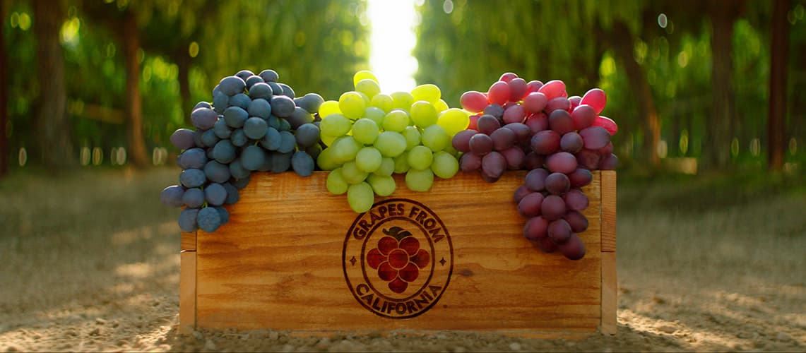 Box of Grapes