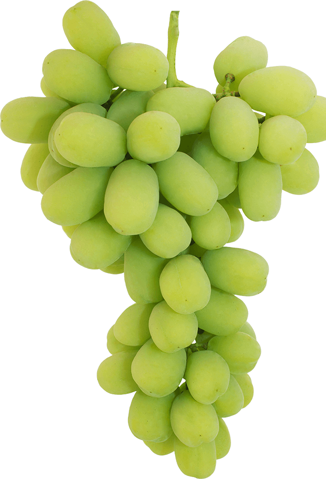 Green Grapes