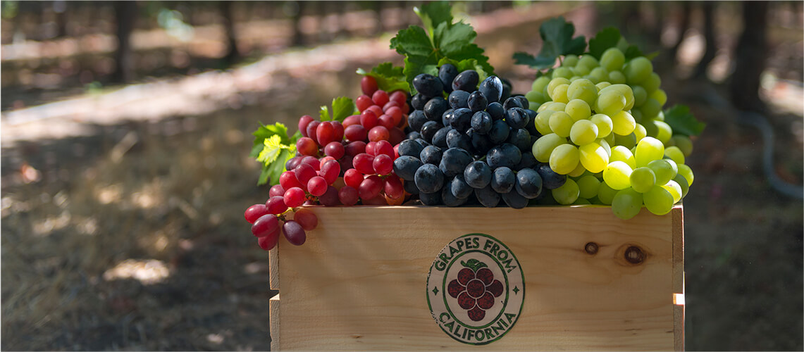 Box of Grapes