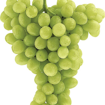 Green Grapes