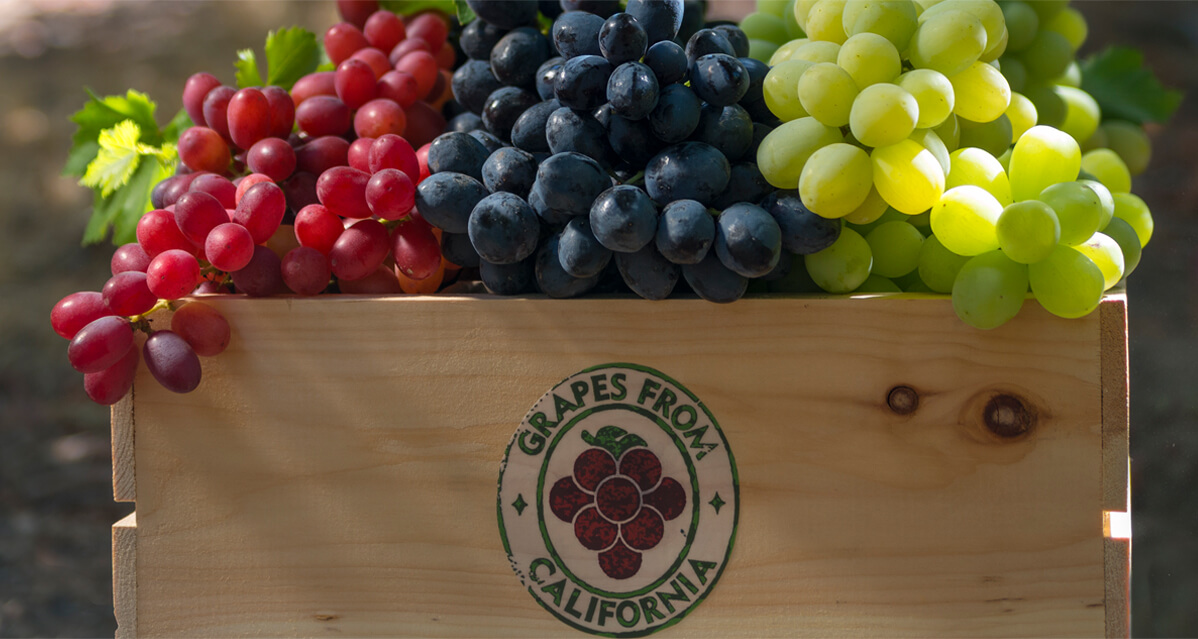 All About Grapes Grapes from California