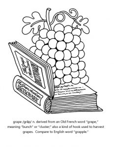 Grapes in the classroom | Grapes from California