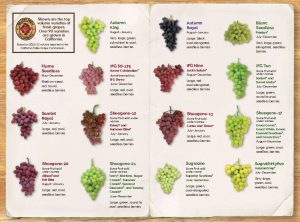 2023 Grapes from California Variety Chart