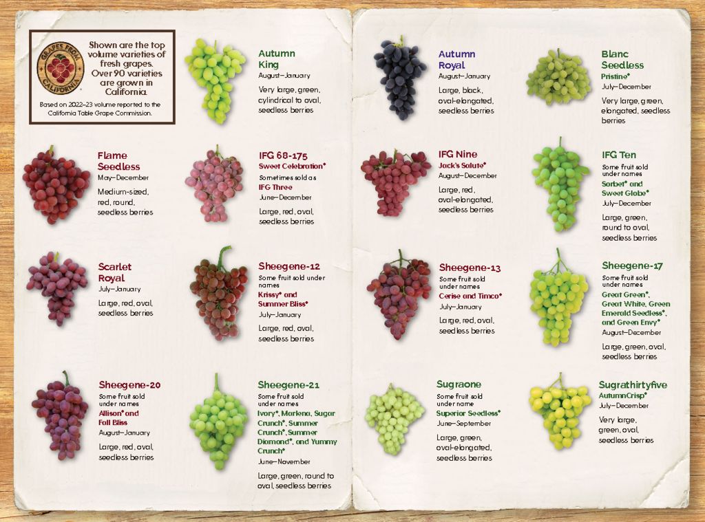 Types Of Table Grapes Types Of Table Grapes