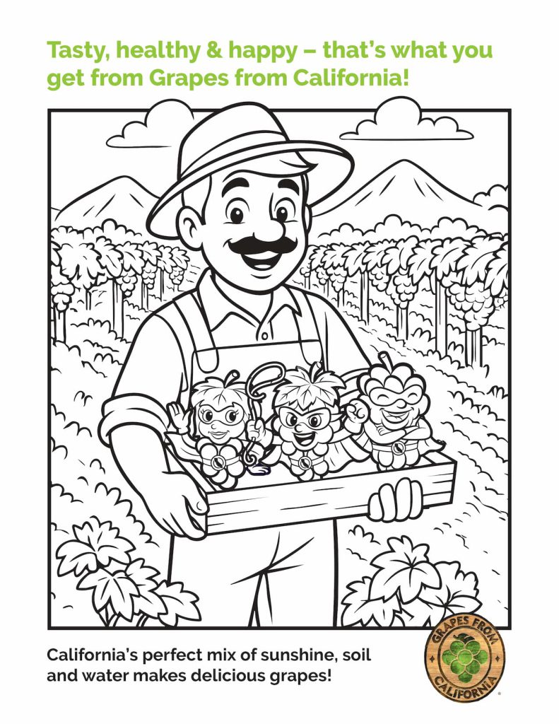 california grapes coloring sheet page